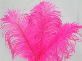 13"-15" Fabulous Natural Ostrich Feathers-12PCS - Fushia