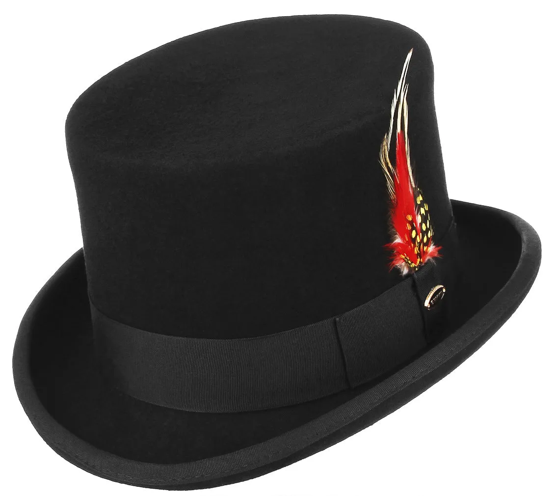 Feather Decorated Black Top Hat