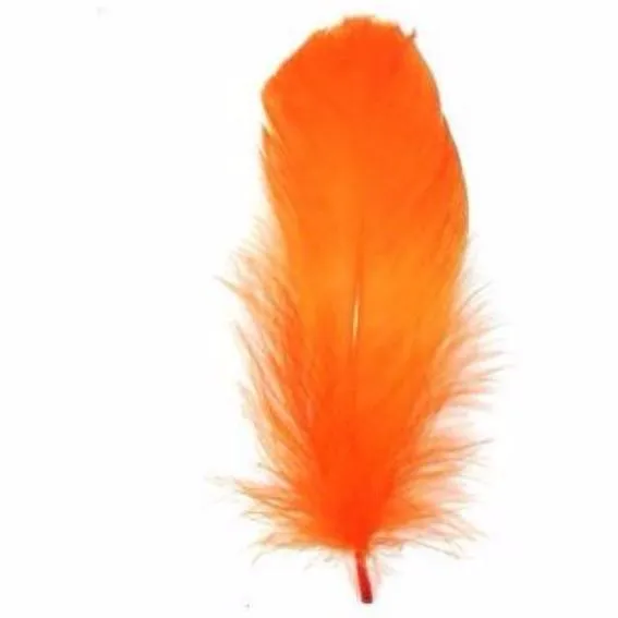 Goose Nagoire Feathers 10 grams - Orange