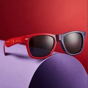 Official He-Man and Skeletor Sunglasses