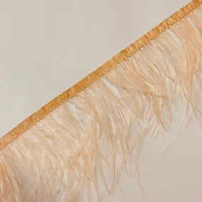 Ostrich Feathers Strung per 10cm - Apricot